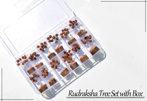 Rudraksha 15 Beads Tree Set With Box