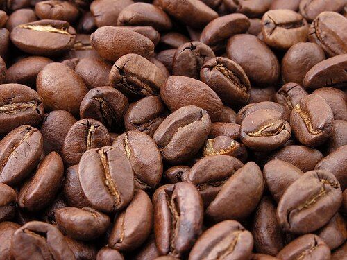 Robusta Coffee Beans Green