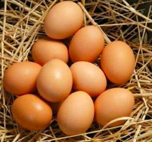 Desi Brown Eggs,