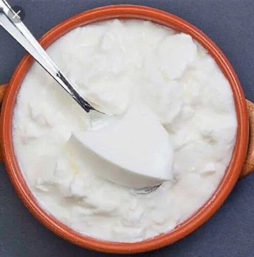 Organic 100% Purity Curd For Cooking And Lassi