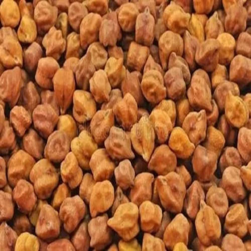 Dried Gram Seeds