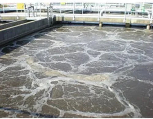 Premium Quality Sewage Treatment Plant 