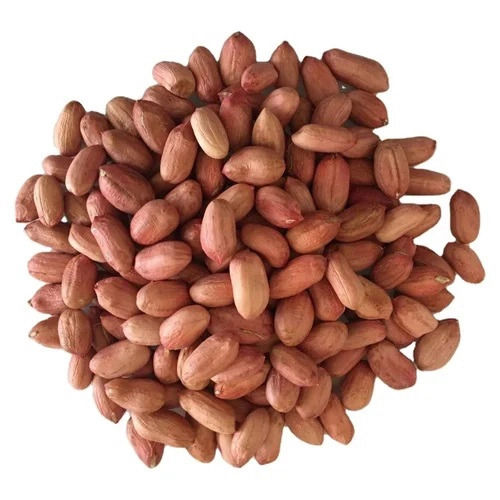 White Common Natural Groundnut Seeds For Multipurpose Use