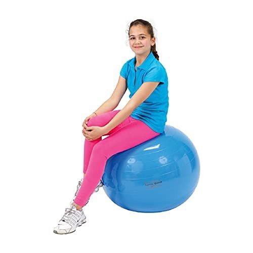 Physical Therapy Anti-Burst Exercise Therapy Balls