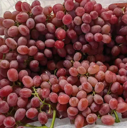 Delicious Sweet Seedless Natural Fresh Grapes Fruit