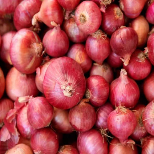 fresh red onion