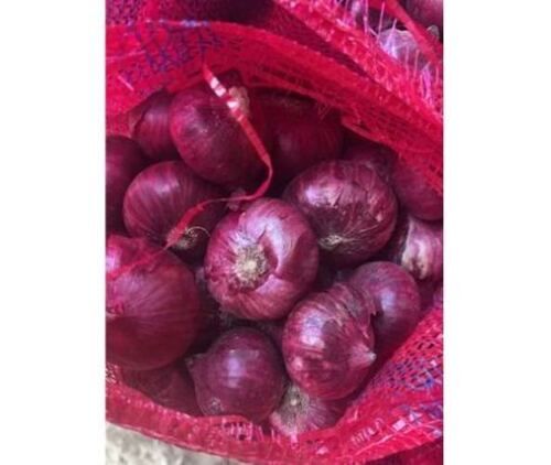 100% Natural And Organic Round Fresh Red Onion