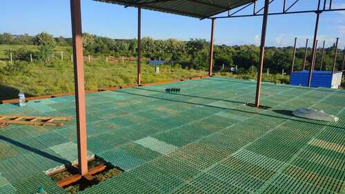 Durable Goat Farm Shed At Best Price In Aligarh Farm Brighter durable-goat-farm-shed-at-best-price-in-aligarh-farm-brighter