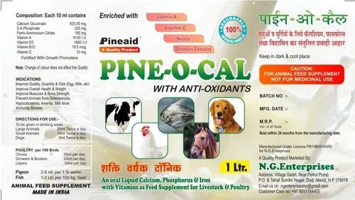 Pine-o-cal cattle