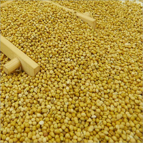 100% Natural And Organic Yellow Millet