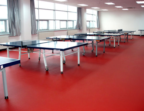 Red Welcomed Table Tennis Flooring For Clubs