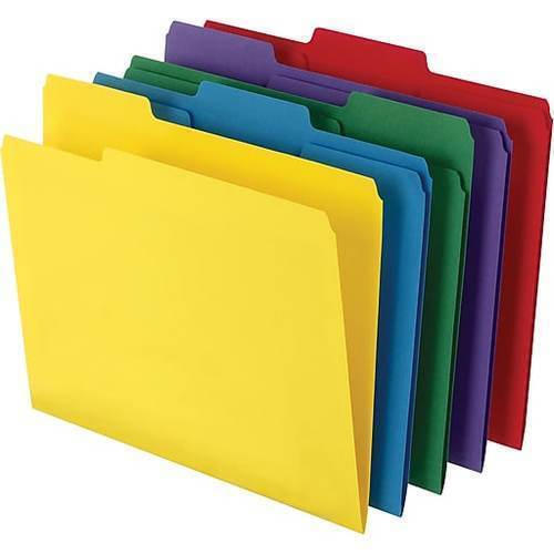 Lightweight Document Plastic File Folder 