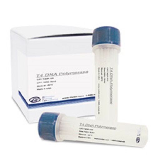 Pfu Dna Polymerase Laboratory Reagents