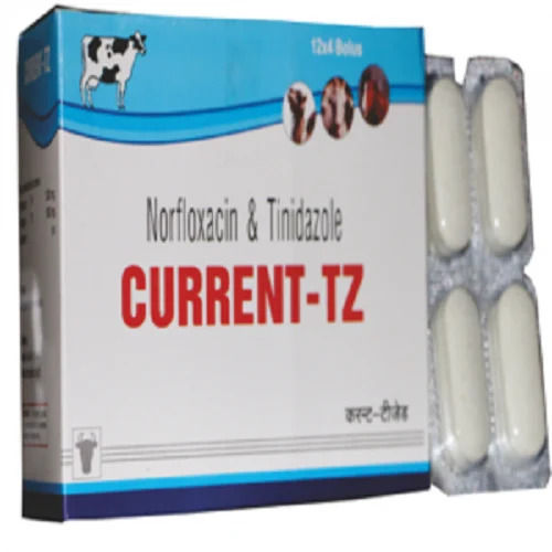 Norfloxacin And Tinidazole Bolus For Veterinary Use