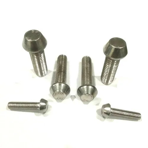 Corrosion And Rust Resistant Stainless Steel Anti Theft Bolts At Best