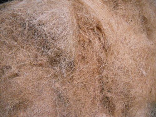 Natural Golden Coconut Coir Fibre