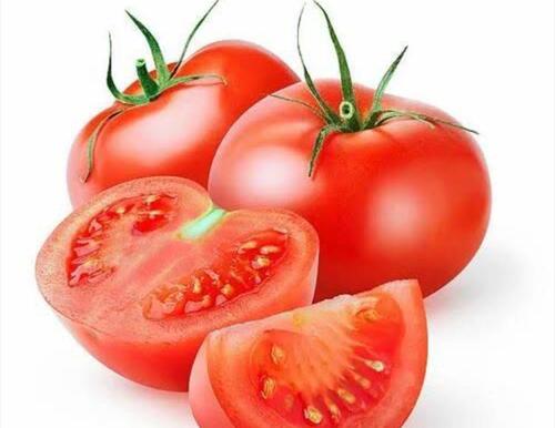 fresh tomatoes