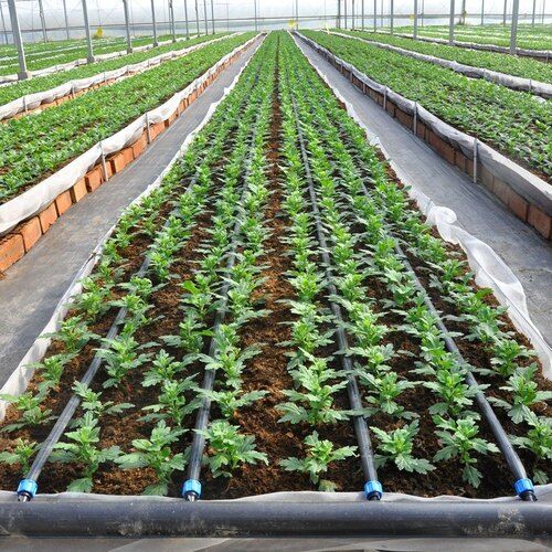 Plastic Pipe Drip Irrigation System