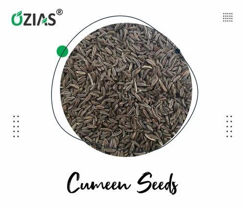 100% Natural And Pure Organic Black Cumin/Jeera