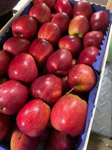 A Grade Round Shape Red Color Delicious Apple