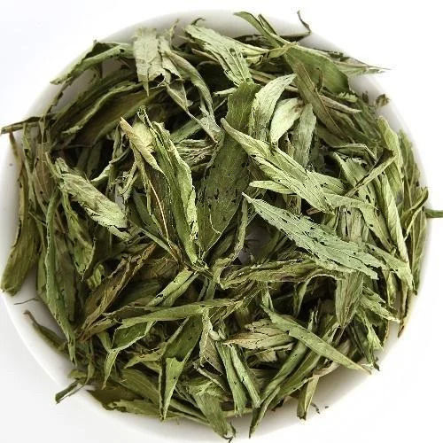 Natural And Herbal Fresh Dry Green Tea Leaves  Application: Industrial