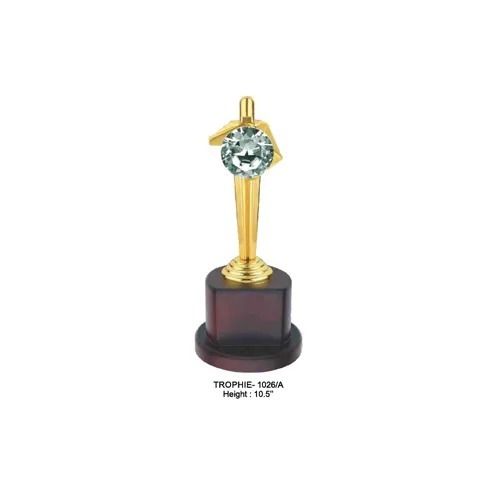 Premium Quality Acrylic Diamond Trophy Age Group: Adult