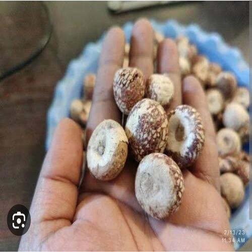 100% Organic Gluten Free A Grade Algera Betel Nuts