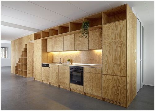 Plywood Kitchen Door Design