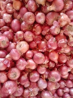 A Grade Maharashtra Fresh Red Onion, Gunny Bag, Onion Size Available: Medium