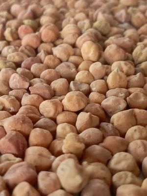 Healthy And Nutritious Brown Desi Chana