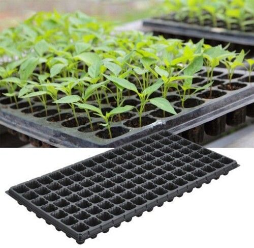 planting tray