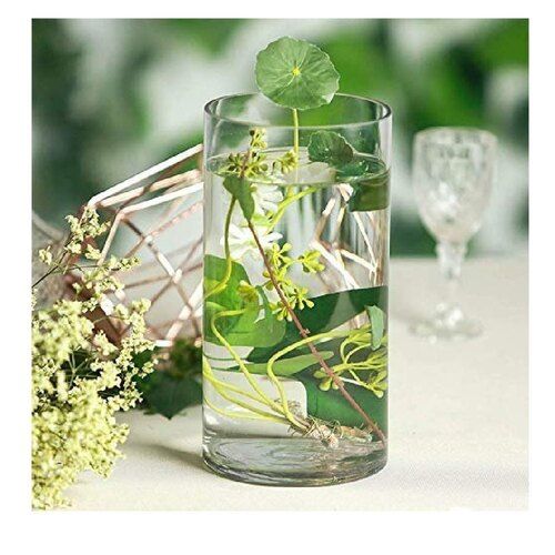 Glass Cylinder Flower Vase For Home Decoration Base Material: Alumunium