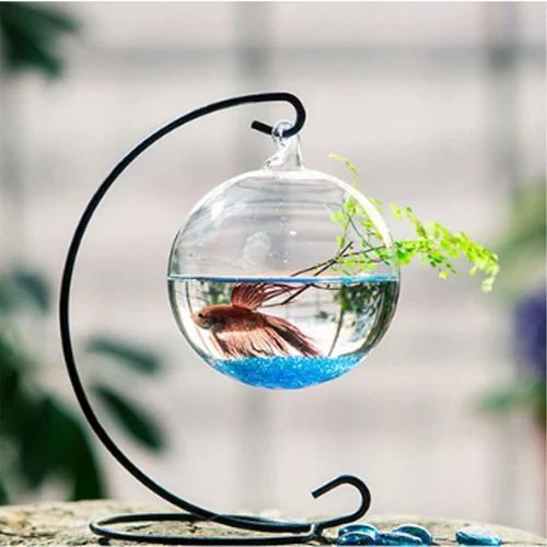 Transparent Hanging Fish Glass Bowl at Best Price in Firozabad