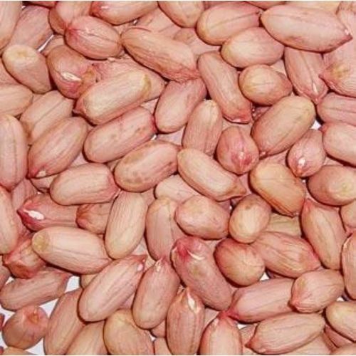 Organic Hybrid Groundnuts without Shell