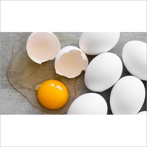 fresh eggs