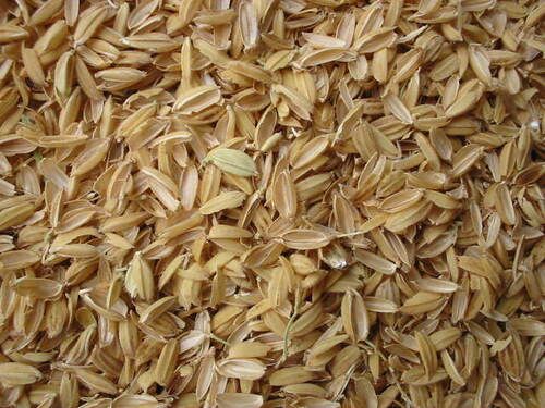 Silver Brown Color Best Quality Dry Rice Husk