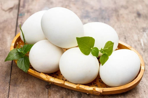 Fresh White Chicken Eggs, Rich In Protein