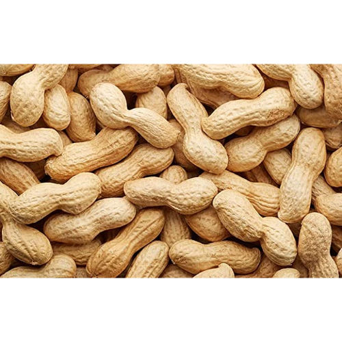 Indian Origin Raw Whole Peanuts