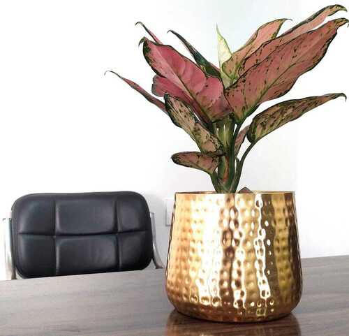 Modern Decoration GCO Flower Base In Iron With Roes Gold Finish, Size:  Medium, Shape: Round Shaped at Rs 750/piece in Moradabad