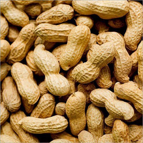 Raw Shelled Indian Groundnut Peanuts Admixture (%): 1-2%