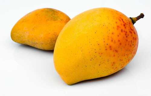100% Pure And Organic Farm Fresh Alphanso Mangos