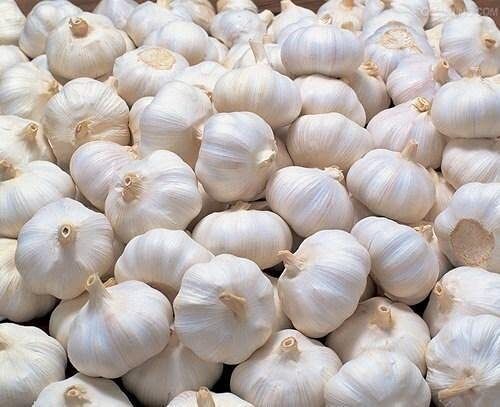 A Grade Indian Origin Common Cultivated 99.9% Pure Fresh White Garlic