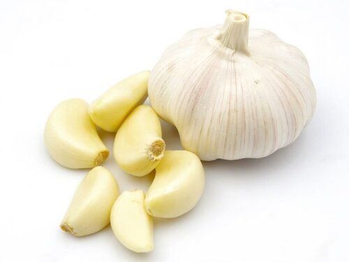 A Grade Indian Origin Common Cultivated 99.9% Pure White Garlic