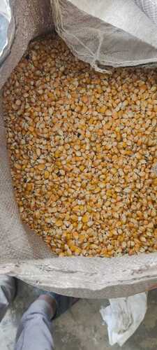 Bags Of Feed Stock Photo - Download Image Now - Corn, Corn - Crop, Seed -  iStock