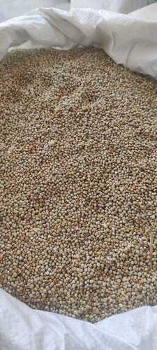 millet feed 