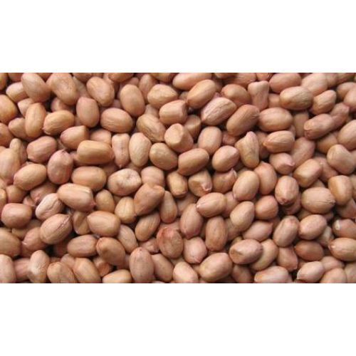 Nutritious Indian Groundnut Kernels Broken (%): 3