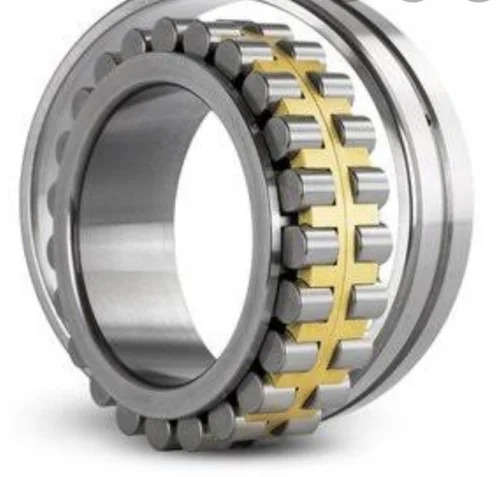 Stainless Steel Double Raw Cylindrical Roller Bearing