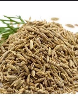 Gluten Free Brown Dried Cumins Seeds