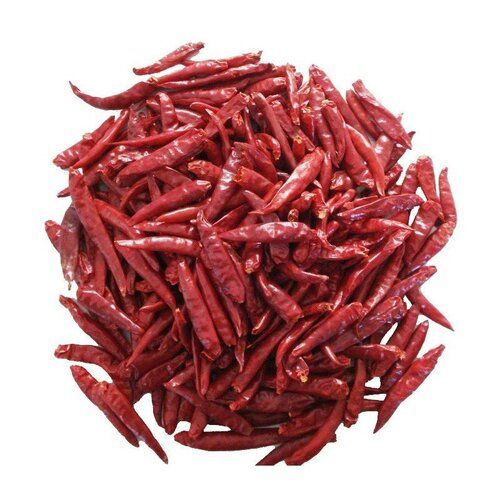 Indian Origin And Spicy Taste Red Chilli