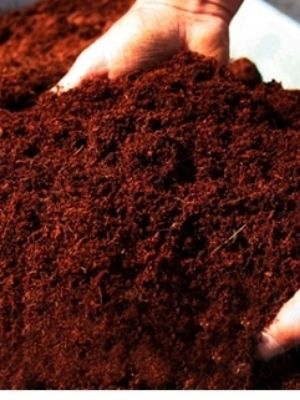 Eco-Friendly Eco Friendly Natural Dark Brown Cocopeat